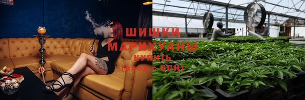 МДПВ Надым
