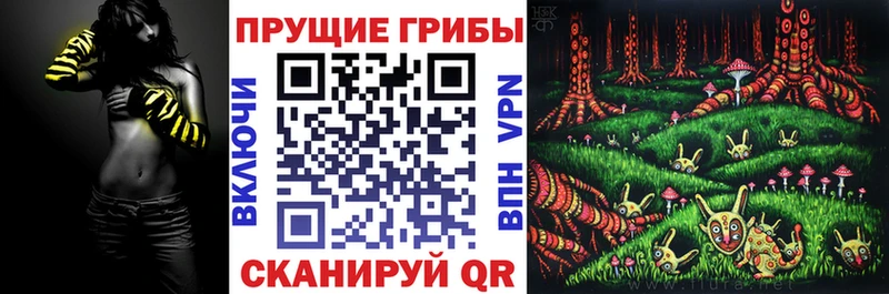 kraken как войти  наркошоп  Никольск  Галлюциногенные грибы GOLDEN TEACHER 